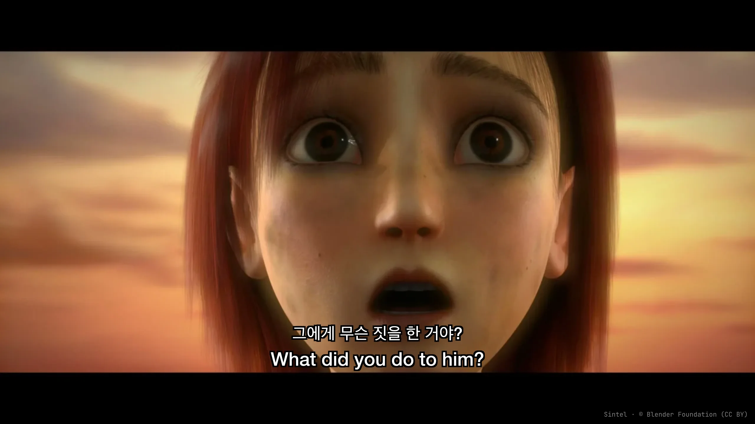 Film displayed with original and translated subtitles shown together in a media player