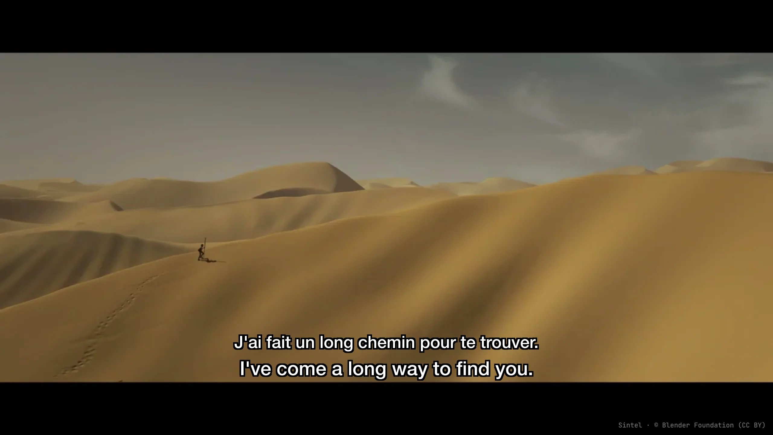 Film with original and English-translated subtitles displayed together