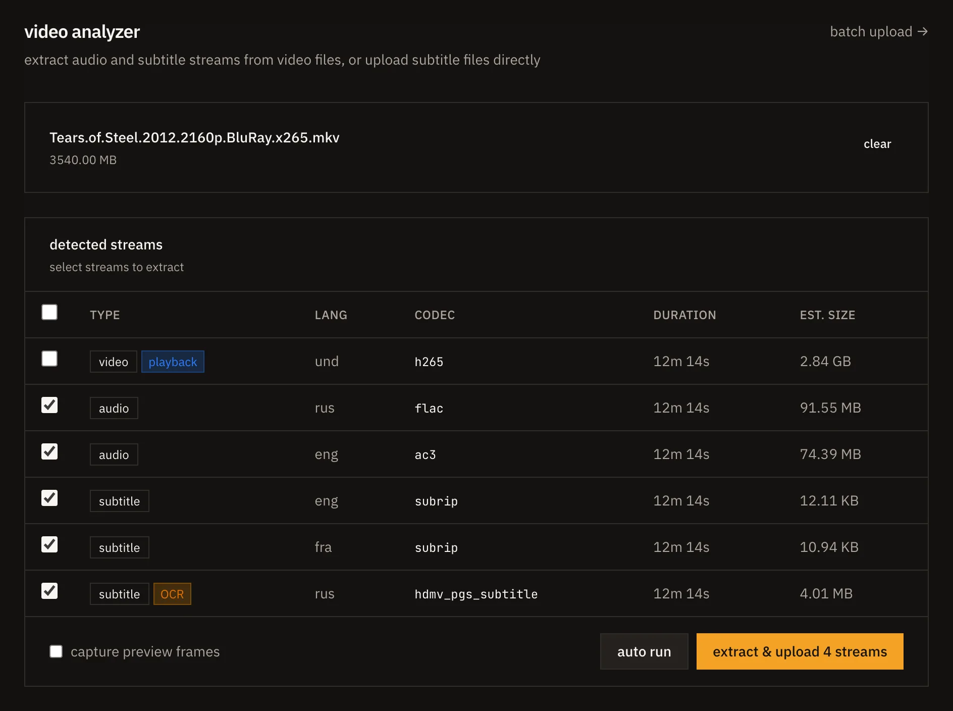 Video analyzer with Brazilian Portuguese audio and subtitle tracks detected